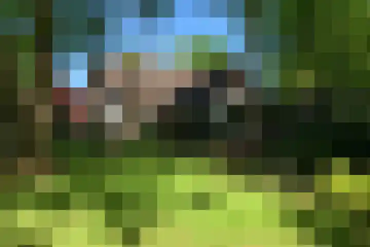Lage Esweg 5 a Nijverdal thumbnail 62