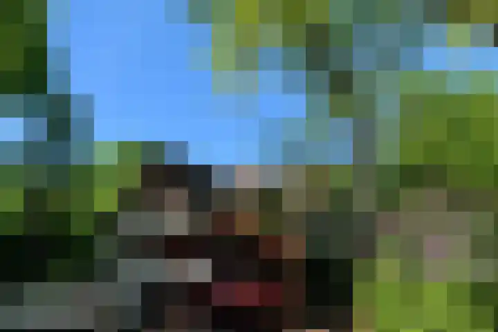 Lage Esweg 5 a Nijverdal thumbnail 63