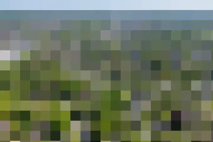 Lage Esweg 5 a Nijverdal thumbnail 64