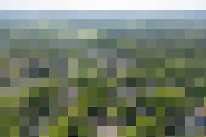 Lage Esweg 5 a Nijverdal thumbnail 65