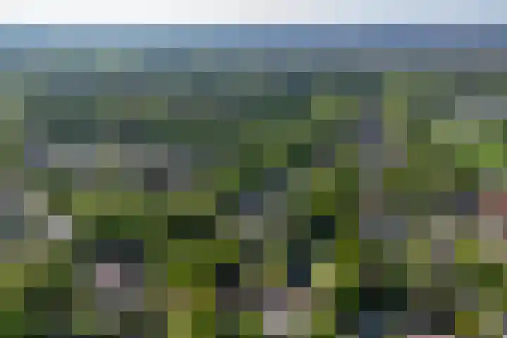 Lage Esweg 5 a Nijverdal thumbnail 66