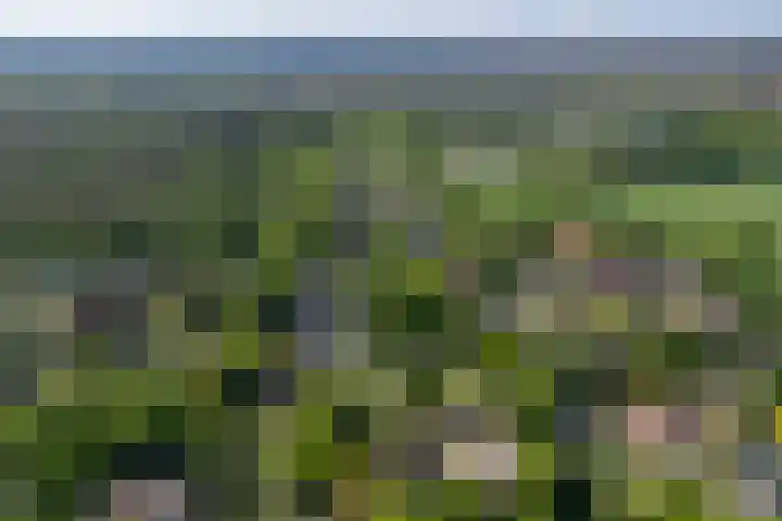 Lage Esweg 5 a Nijverdal thumbnail 67
