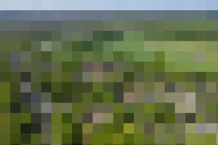 Lage Esweg 5 a Nijverdal thumbnail 68