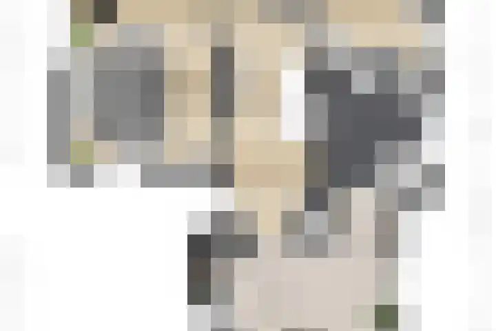 Lage Esweg 5 a Nijverdal thumbnail 69
