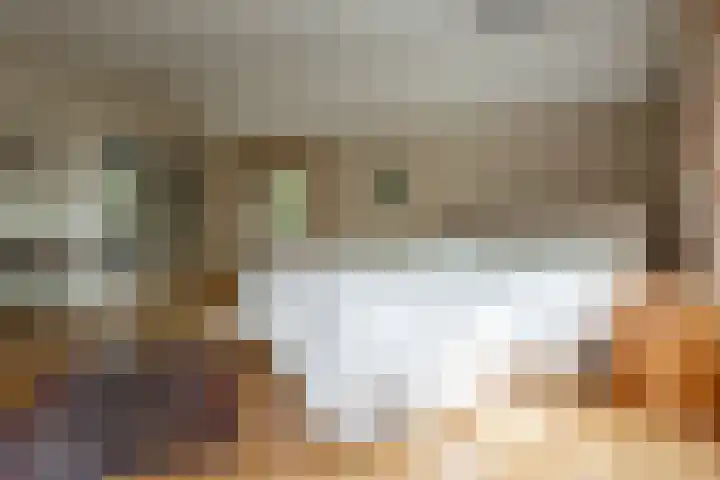 Lage Esweg 5 a Nijverdal thumbnail 8