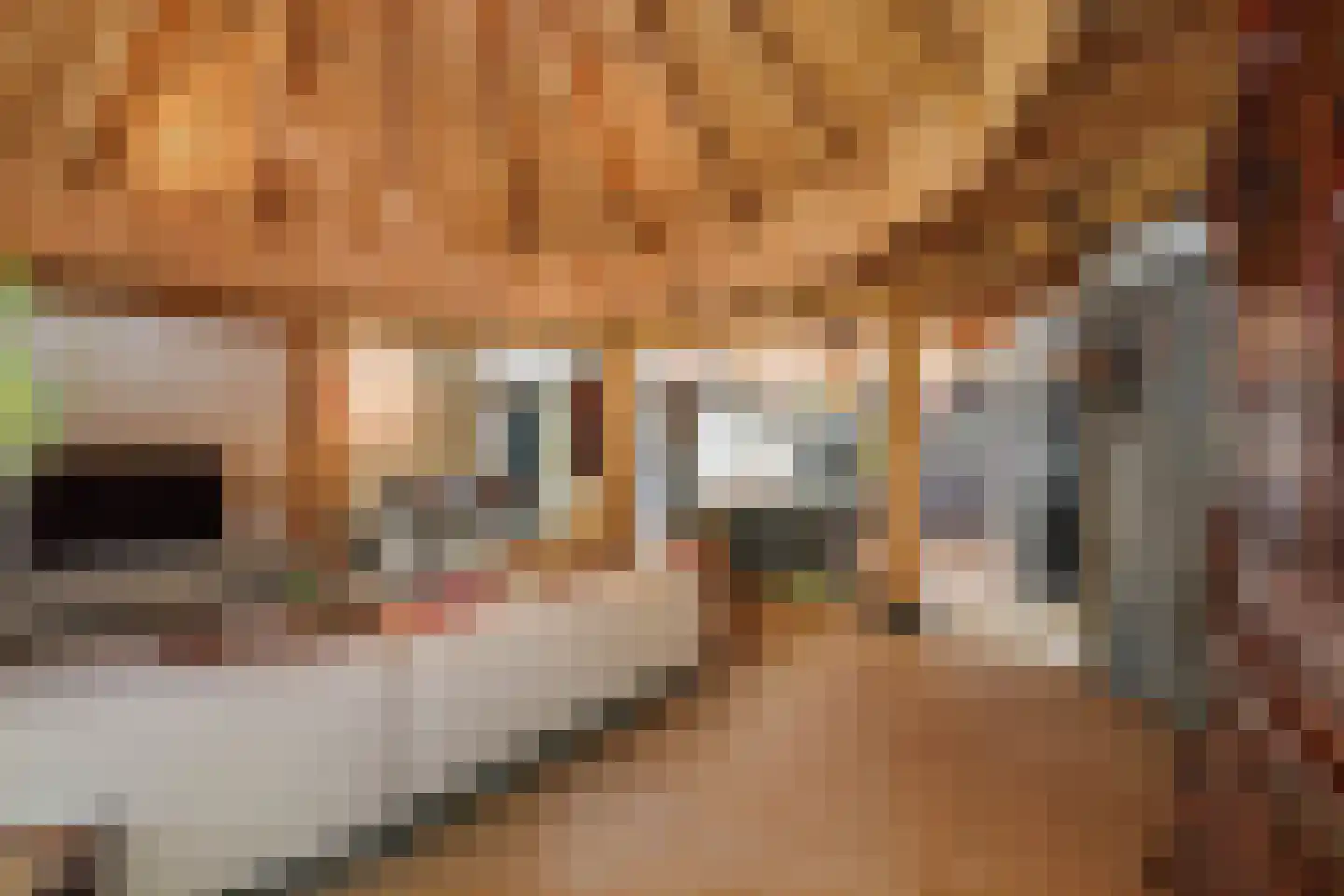 Lage Esweg 5 Nijverdal thumbnail 11