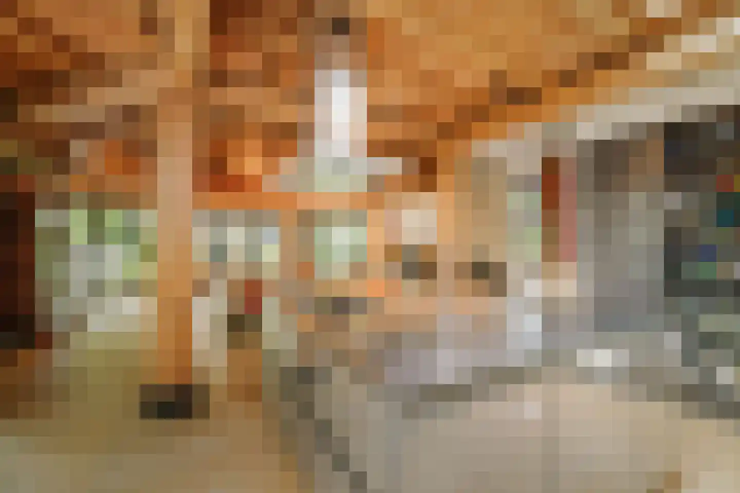 Lage Esweg 5 Nijverdal thumbnail 12