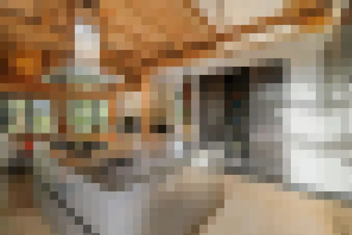 Lage Esweg 5 Nijverdal thumbnail 13
