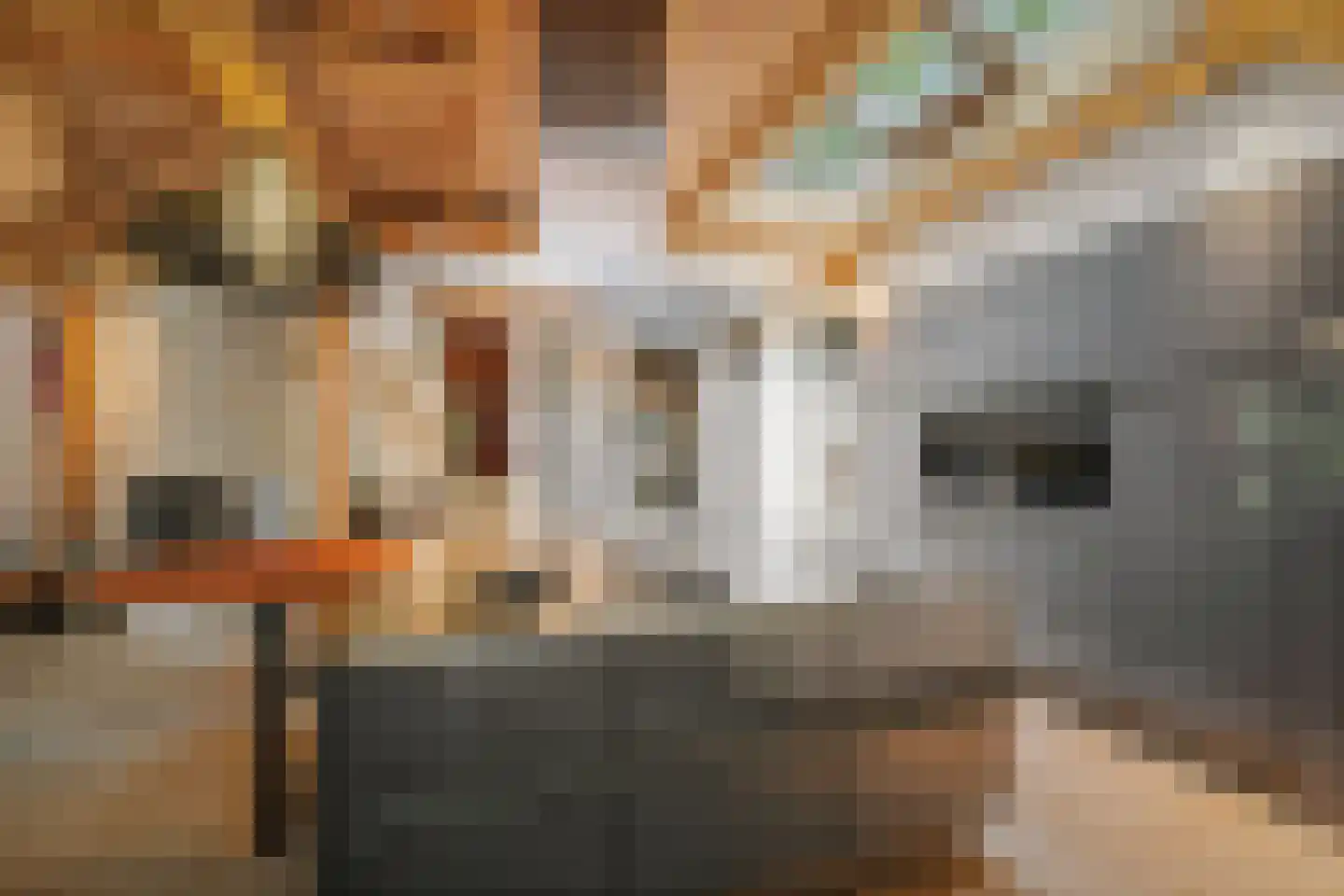 Lage Esweg 5 Nijverdal thumbnail 14