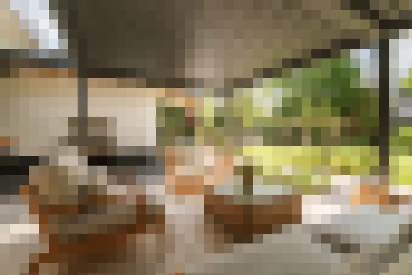 Lage Esweg 5 Nijverdal thumbnail 19
