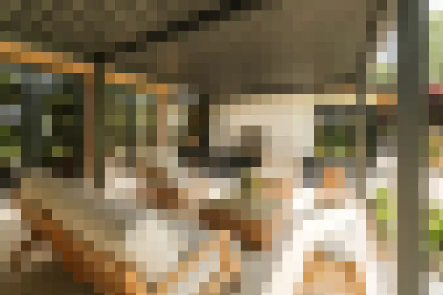 Lage Esweg 5 Nijverdal thumbnail 20