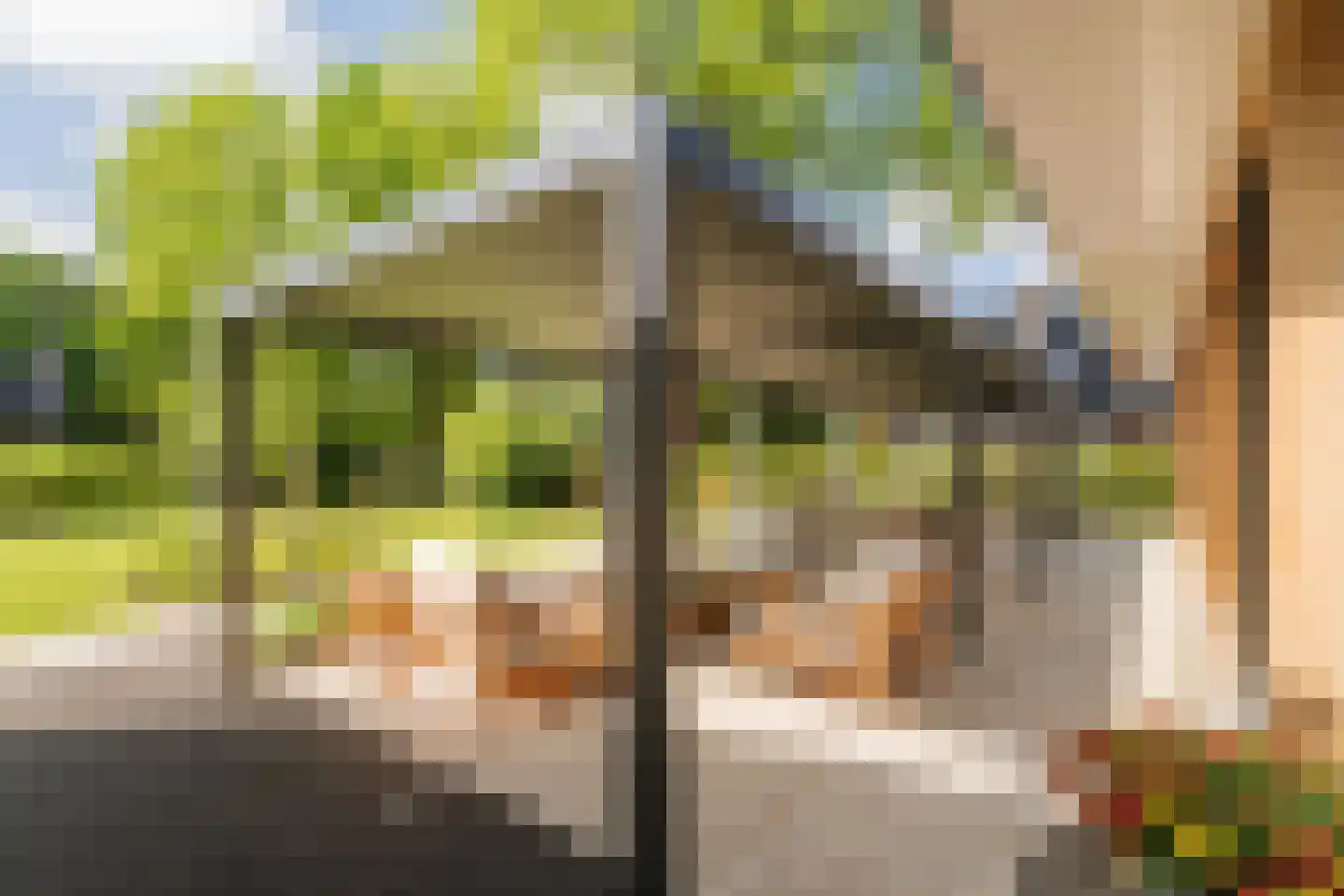 Lage Esweg 5 Nijverdal thumbnail 23