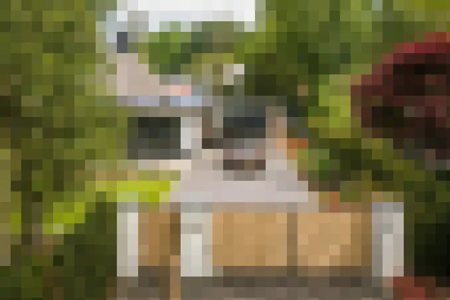 Lage Esweg 5 Nijverdal thumbnail 25