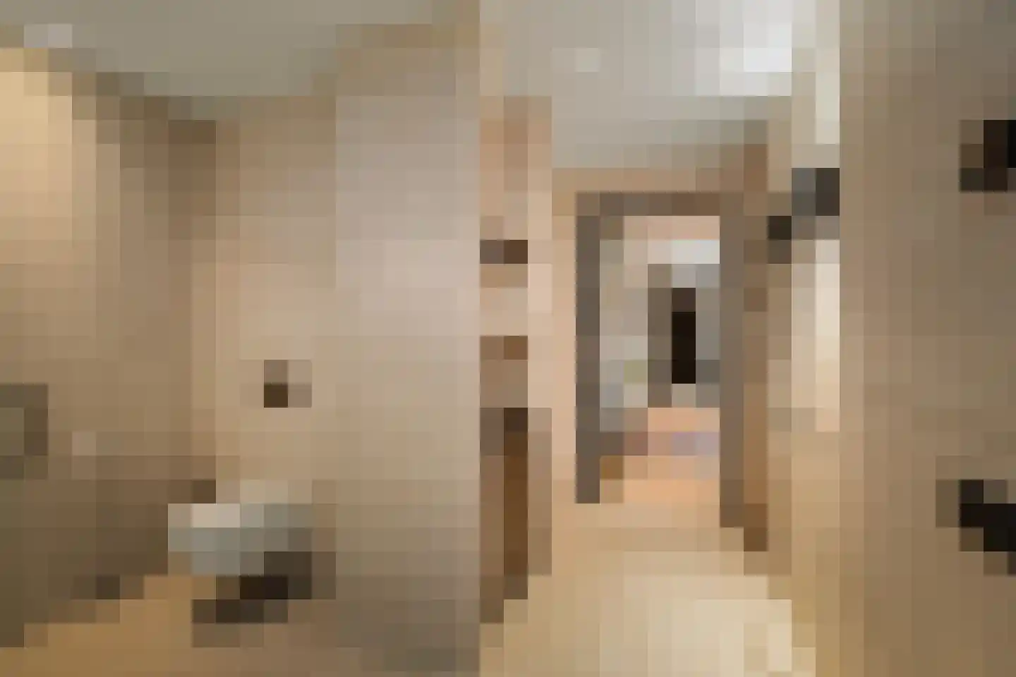 Lage Esweg 5 Nijverdal thumbnail 31