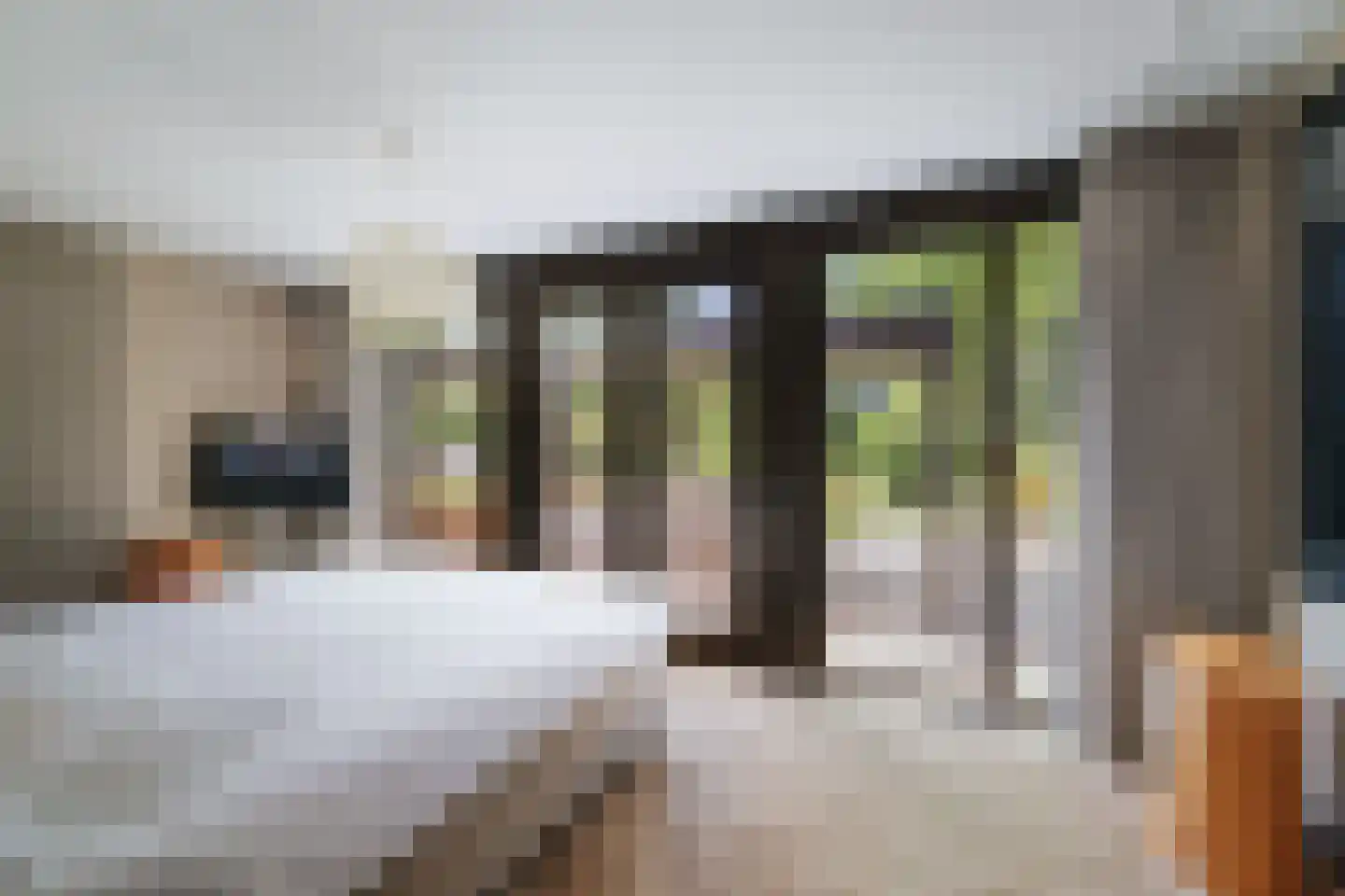 Lage Esweg 5 Nijverdal thumbnail 32