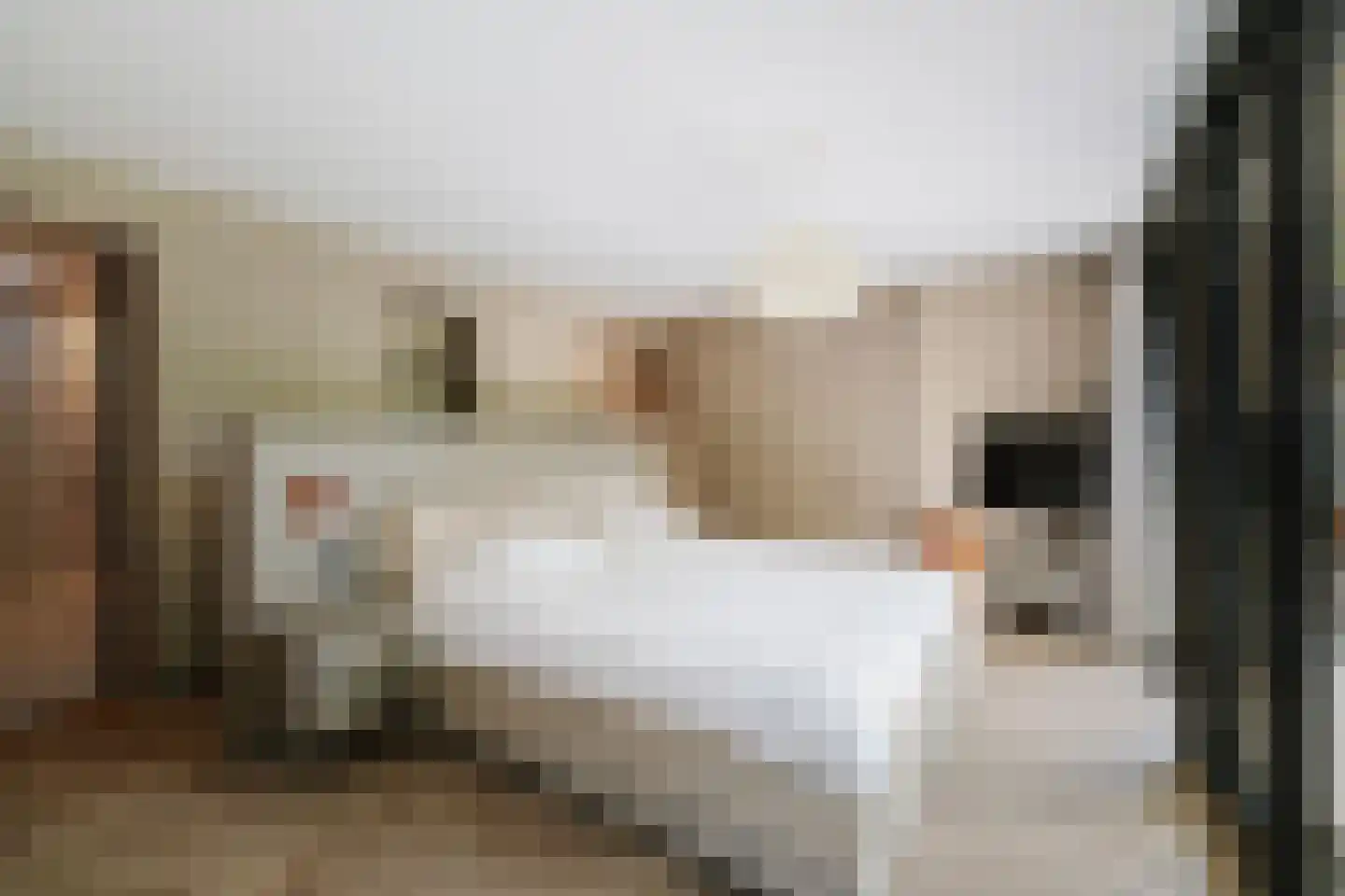 Lage Esweg 5 Nijverdal thumbnail 33