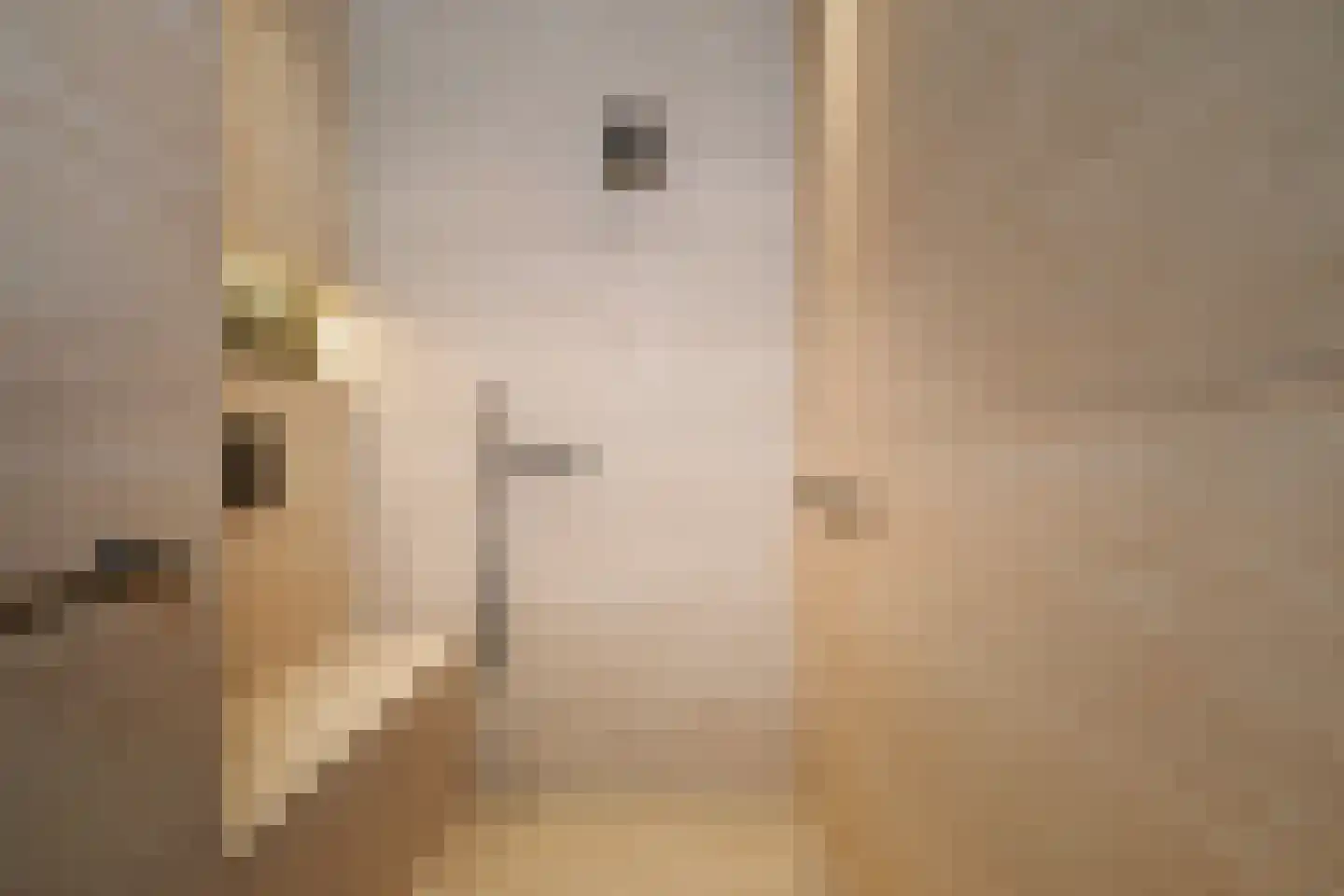 Lage Esweg 5 Nijverdal thumbnail 37