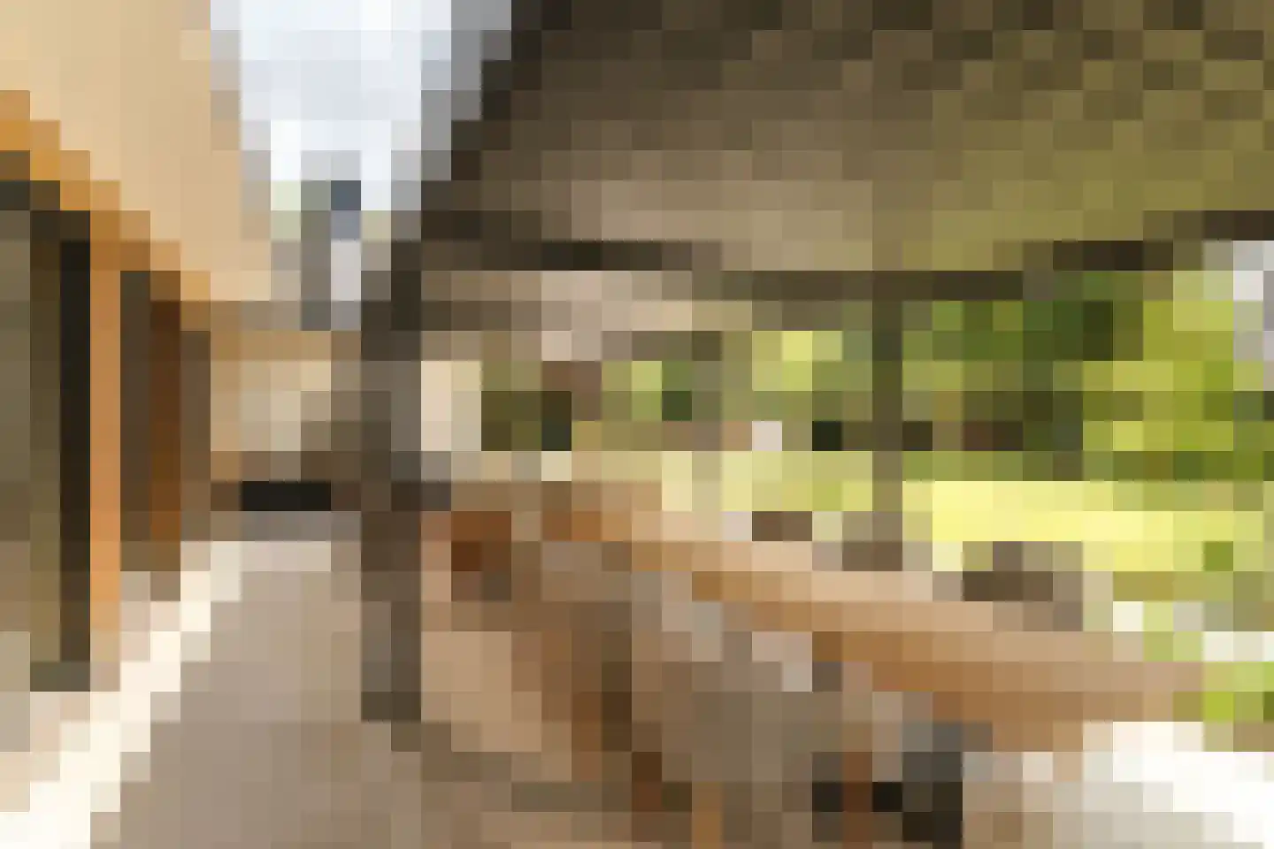 Lage Esweg 5 Nijverdal thumbnail 39
