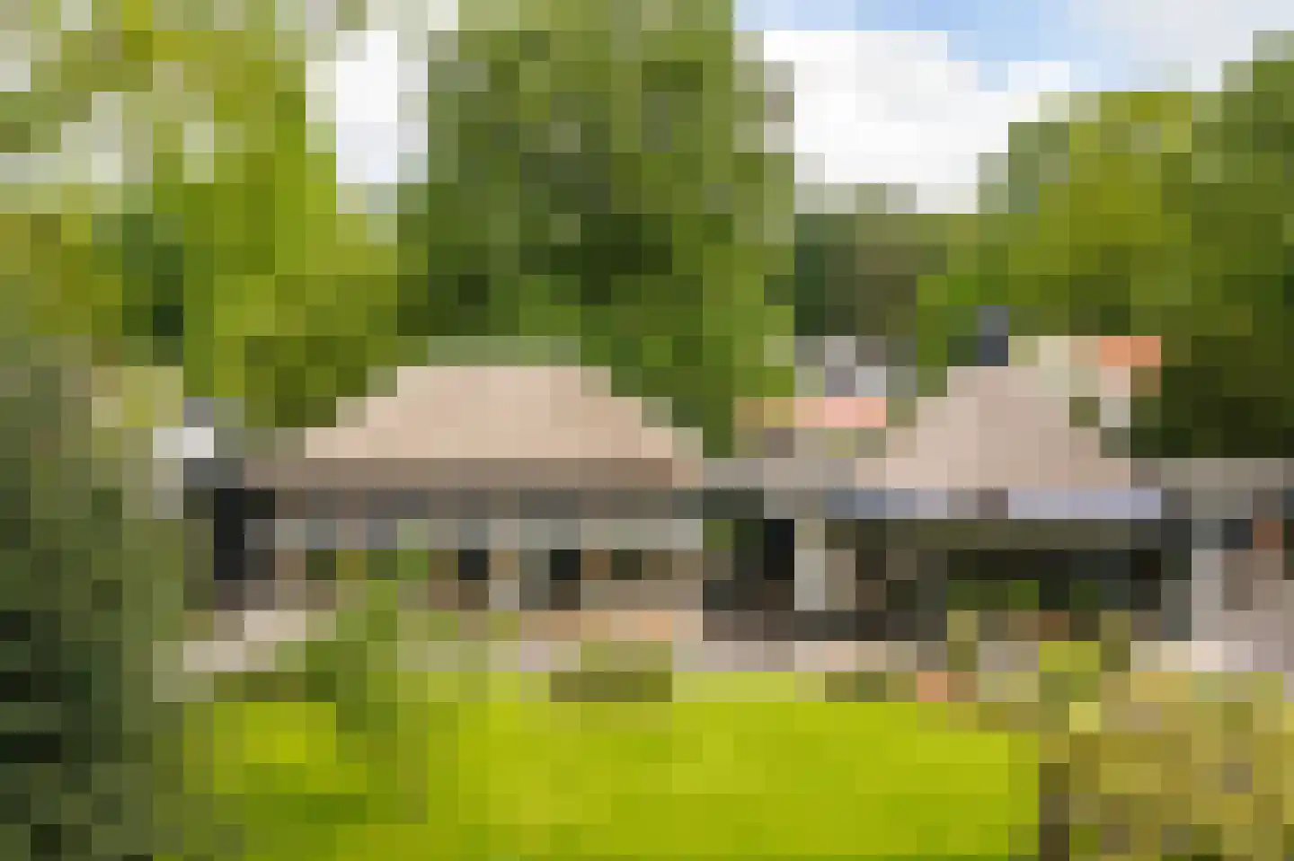 Lage Esweg 5 Nijverdal thumbnail 4