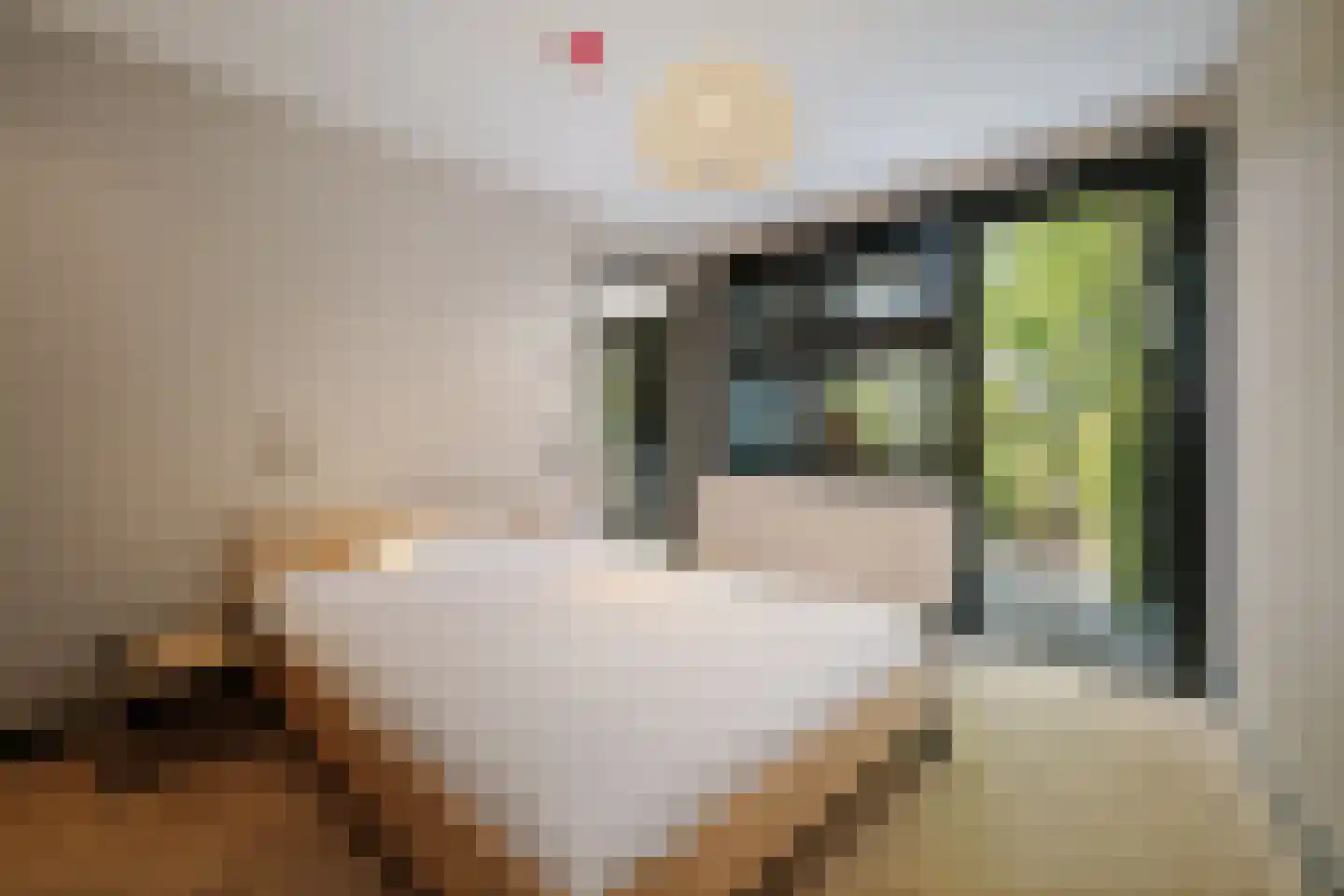 Lage Esweg 5 Nijverdal thumbnail 40