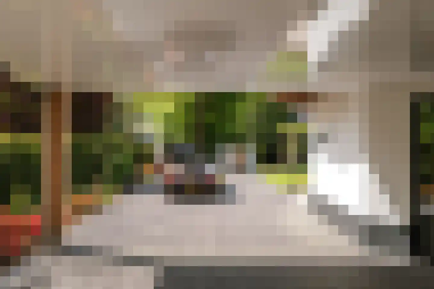 Lage Esweg 5 Nijverdal thumbnail 46