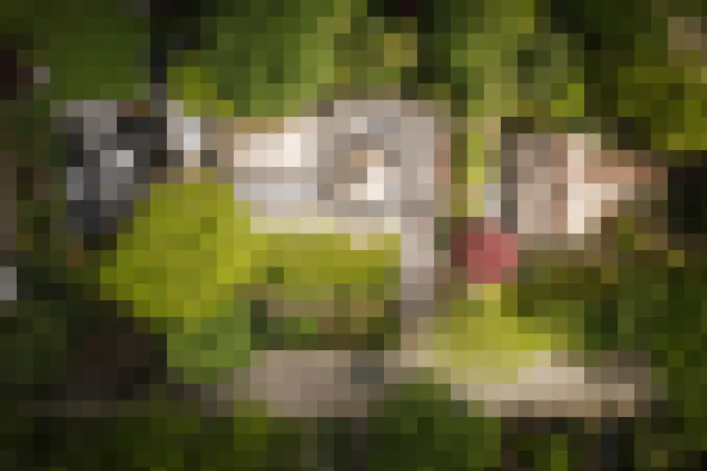 Lage Esweg 5 Nijverdal thumbnail 48
