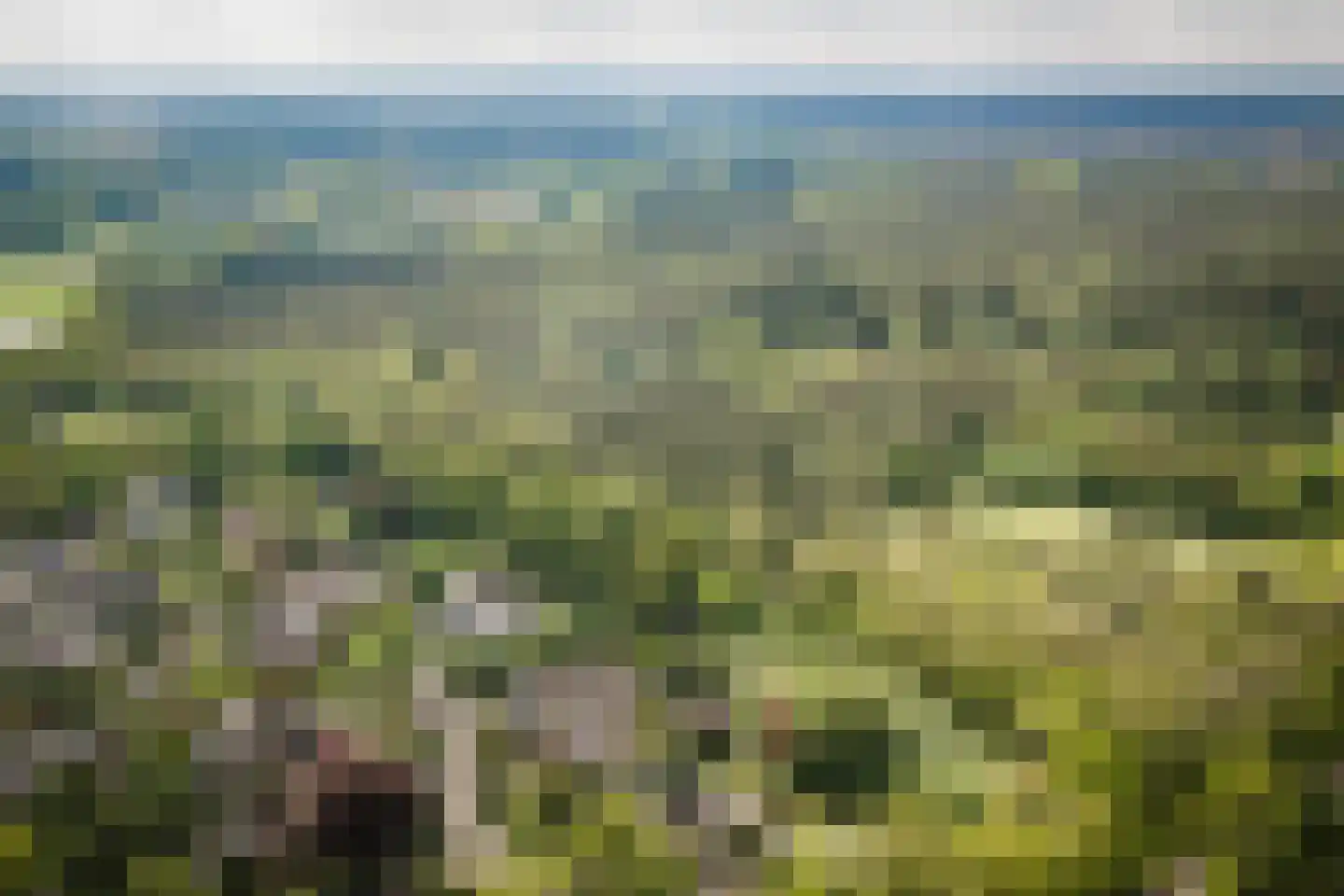 Lage Esweg 5 Nijverdal thumbnail 49