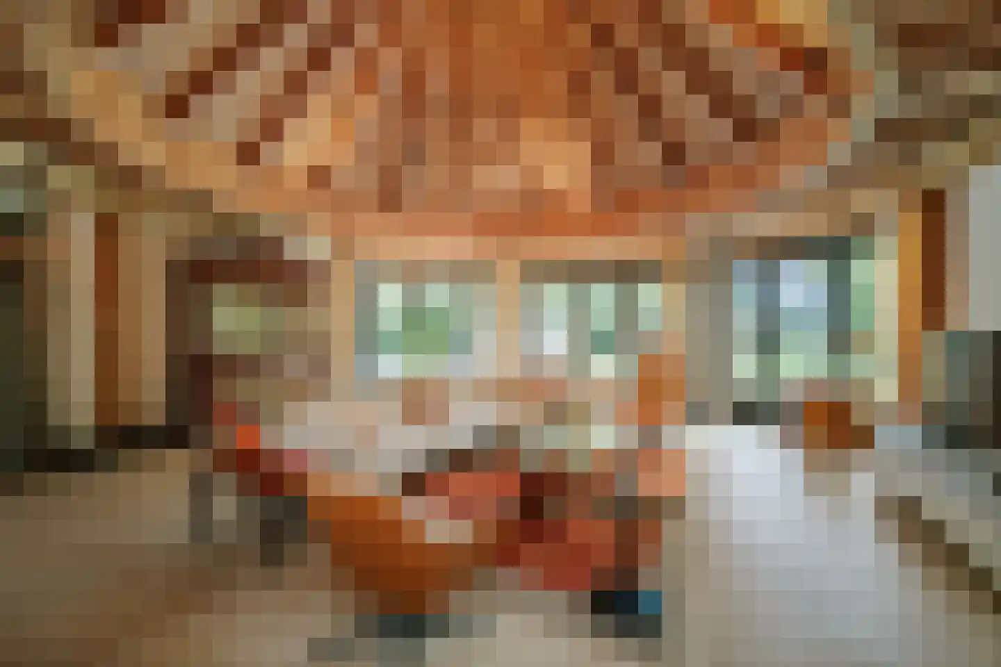 Lage Esweg 5 Nijverdal thumbnail 9