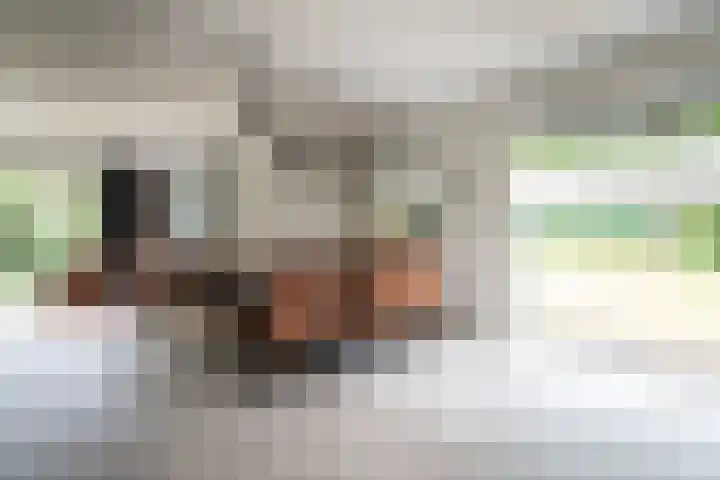Lage Esweg 73 Nijverdal thumbnail 11