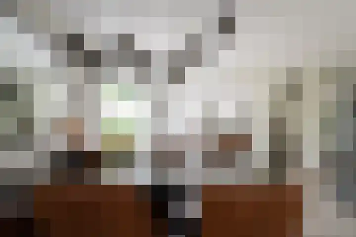 Lage Esweg 73 Nijverdal thumbnail 12
