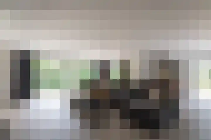 Lage Esweg 73 Nijverdal thumbnail 15
