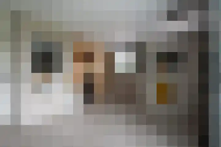 Lage Esweg 73 Nijverdal thumbnail 20