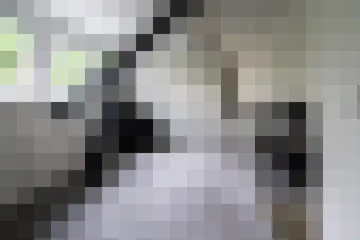 Lage Esweg 73 Nijverdal thumbnail 25