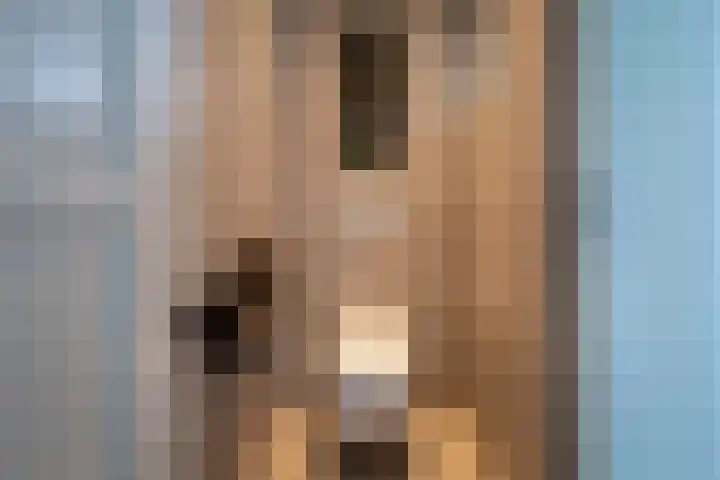 Lage Esweg 73 Nijverdal thumbnail 34