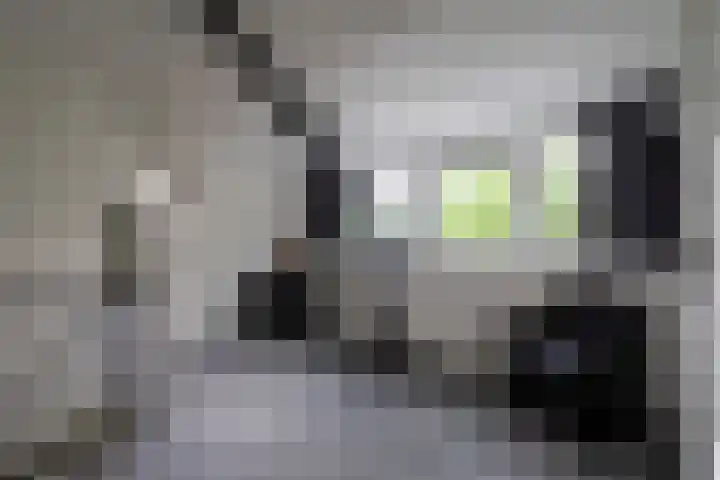 Lage Esweg 73 Nijverdal thumbnail 35