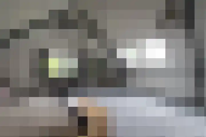 Lage Esweg 73 Nijverdal thumbnail 37