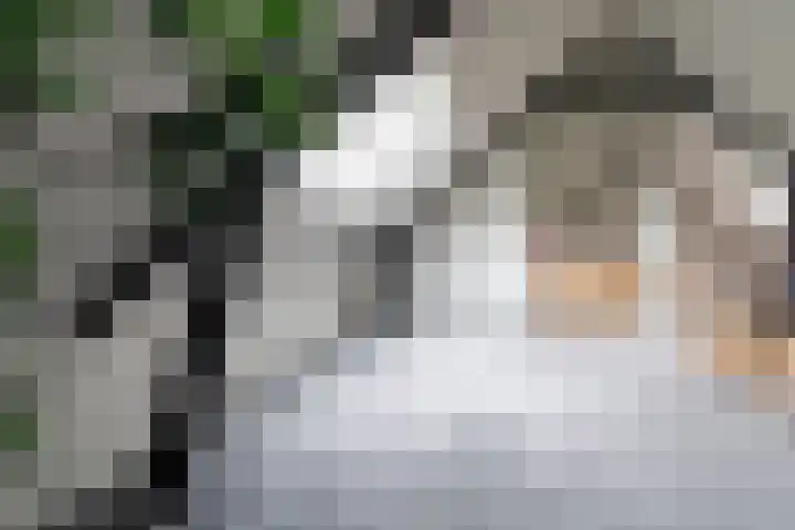 Lage Esweg 73 Nijverdal thumbnail 39