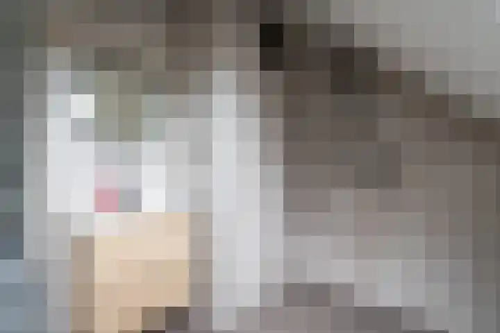 Lage Esweg 73 Nijverdal thumbnail 41