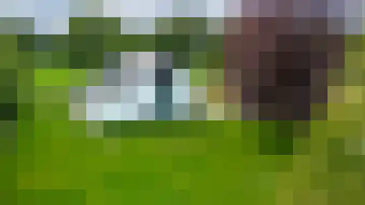 Lage Esweg 73 Nijverdal thumbnail 44