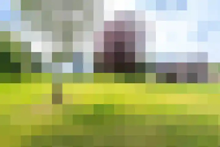 Lage Esweg 73 Nijverdal thumbnail 45