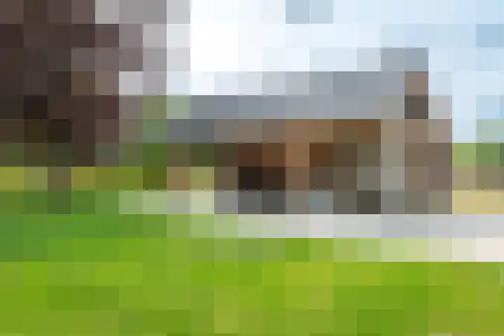 Lage Esweg 73 Nijverdal thumbnail 46