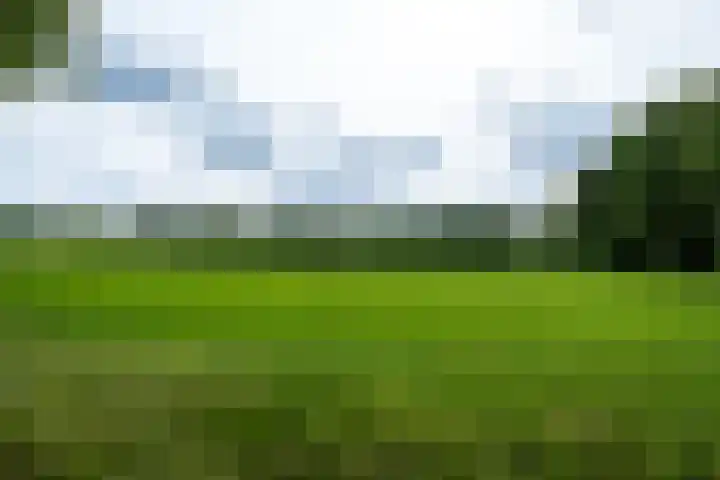 Lage Esweg 73 Nijverdal thumbnail 47