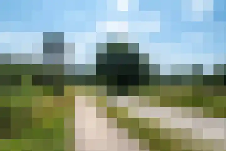 Lage Esweg 73 Nijverdal thumbnail 48