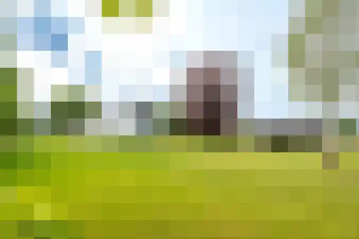 Lage Esweg 73 Nijverdal thumbnail 5
