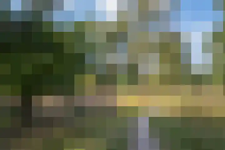 Lage Esweg 73 Nijverdal thumbnail 50