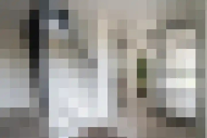 Lage Esweg 73 Nijverdal thumbnail 6
