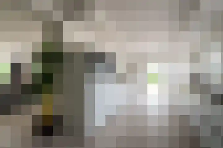 Lage Esweg 73 Nijverdal thumbnail 7