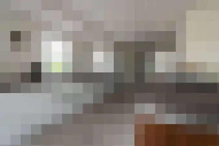 Lage Esweg 73 Nijverdal thumbnail 8