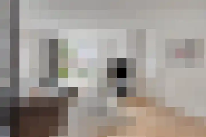 Lage Geeren 14 Hoogland thumbnail 14