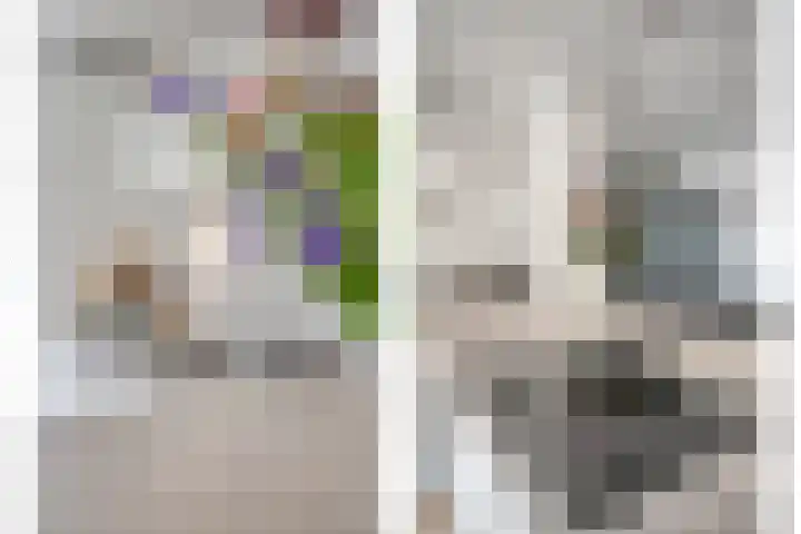 Lage Geeren 14 Hoogland thumbnail 20